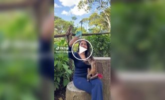 Нахабна мавпочка «знайшла скарб» у відвідниці парку