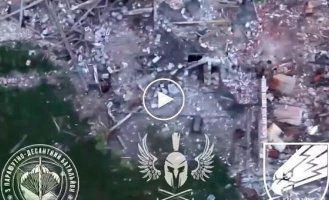 Наземный дрон-камикадзе 25 ОПДБр уничтожил укрытие оккупантов на Покровском направлении