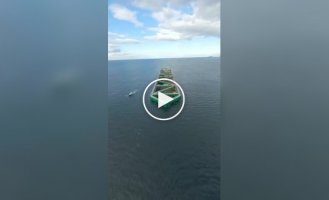 Havfarm 1: найбільша в світі напівзанурювальна морська ферма