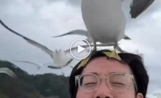 The seagull and the overly pleased man