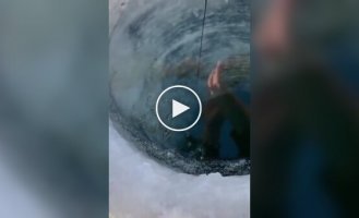 Boys fishing: emotions are running high!