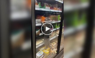Специалист по контролю качества колбасных изделий