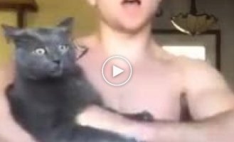 When the owner sings, the cat falls into a stupor