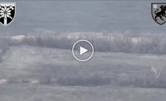 Ukrainian Gvozdika destroyed two Russian gun mounts