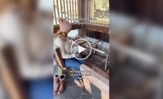 У Японії існують громадські ванни для ніг