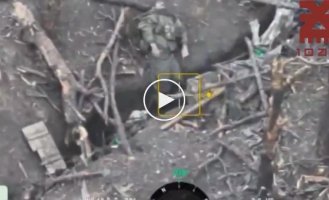 Последствия неудачной атаки российских военных в районе села Степовое Донецкой области