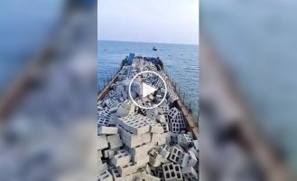 Подводный оазис: как создание искусственных рифов спасает океан