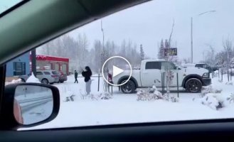 A big elk who came into the city to visit people