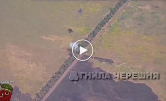 Defense forces destroyed a Russian T-90M tank in Zaporozhye