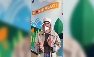 Пса сбросили с моста, и он приземлился на крышу винокурни