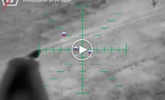 Дронарі 5-ї ОШБр скидами знищили штурмову групу окупантів