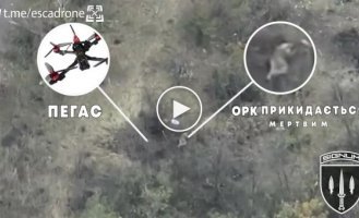 The Russian pretended to be dead, the drone operator flew in to make sure it was really so