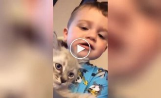 The kitten and the boy found a common language