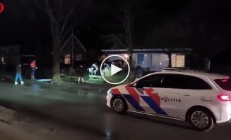 Коровы захватили деревню: снесли заборы и устроили хаос