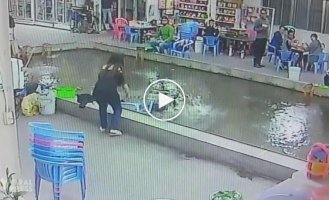 Привязанный к стулу пёс решил поплавать в бассейне
