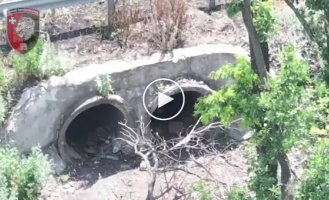 Вибухове відео з потраплянням дрону камікадзе за російськими окупантами