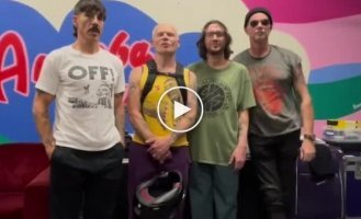 RHCP высказались в поддержку Украины