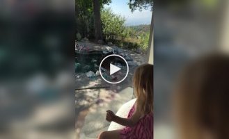 Медведь играет с куклой в бассейне
