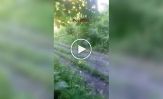 Russian from Kursk region filmed Ukrainian drone attack on communications tower