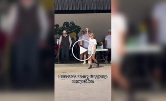 Соревнование прыгающих лягушек