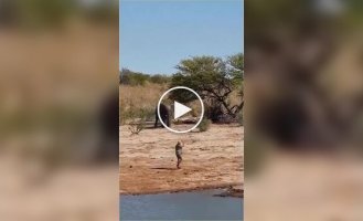 Чоловік зупинив слона, що несе, несподіваним жестом