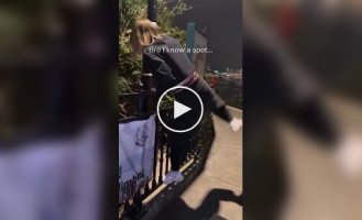 Красивый и захватывающий вид на Гонконг из секретной локации