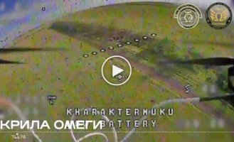 Крила Омеги уничтожили гаубицу Д-30 и ликвидировали личный состав врага в местах скопления
