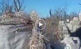 Russian soldier whines that Ukrainian artillery plowed his stronghold