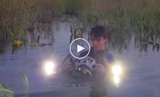 The blogger filmed the swamp so well that it collected millions of views