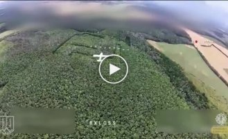 Нацгвардейцы сбили российские БПЛА на Купянском направлении: среди них Молния-2, Zala, Ланцет, Supercam