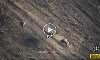 Kamikaze drone attack on a group of invaders in the Avdeevsky direction