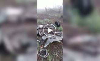 Russian reveals technical data of Ukrainian heavy drone that destroyed tank and mine clearing vehicle