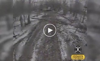 Drone operators of the 156th troop transport battalion destroyed three golf carts and a katsapovozka in the Kursk region