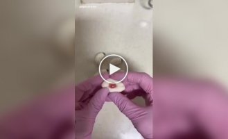 Блюдо, которое точно удивит гостей