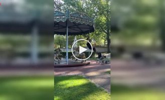 Девушка использовала карусель не по назначению