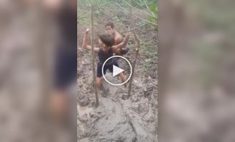 Маленька витівка