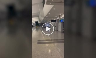 Пассажир угнал гольф-кар и прокатился в аэропорту