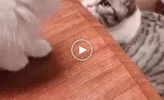 Мама всегда рядом