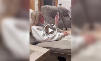 In Australia, a kangaroo disapproved of petting its "friend"