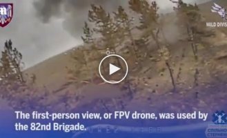 Украинский FPV-дрон из 82-й бригады попадает прямо в нору орков