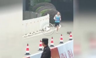 An injustice happened: a cat beat a man in a race, but was left without winning