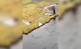 A man went to the river and found himself in a fairy tale