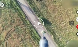 Пилотами Феникса уничтожены 7 FPV-засад оккупантов на Донетчине