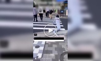 Турист проповз вулицями японського міста в костюмі змії