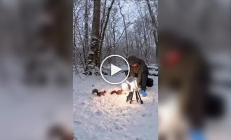 Funny shots from the lives of animals and birds