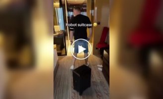 Попытки умного чемодана следовать за человеком