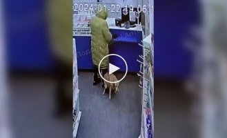 A dog lady left a “surprise” in a Russian pharmacy