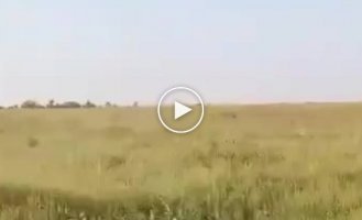 Footage has emerged showing a Russian Ka-52 helicopter shot down on August 17 near Robotino, Zaporozhye region