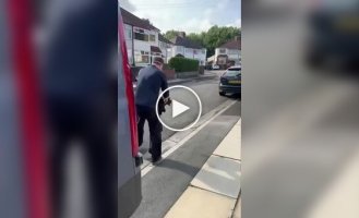Rescued pigeon crashes into wall