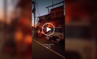 Необычное мини-кафе в Токио